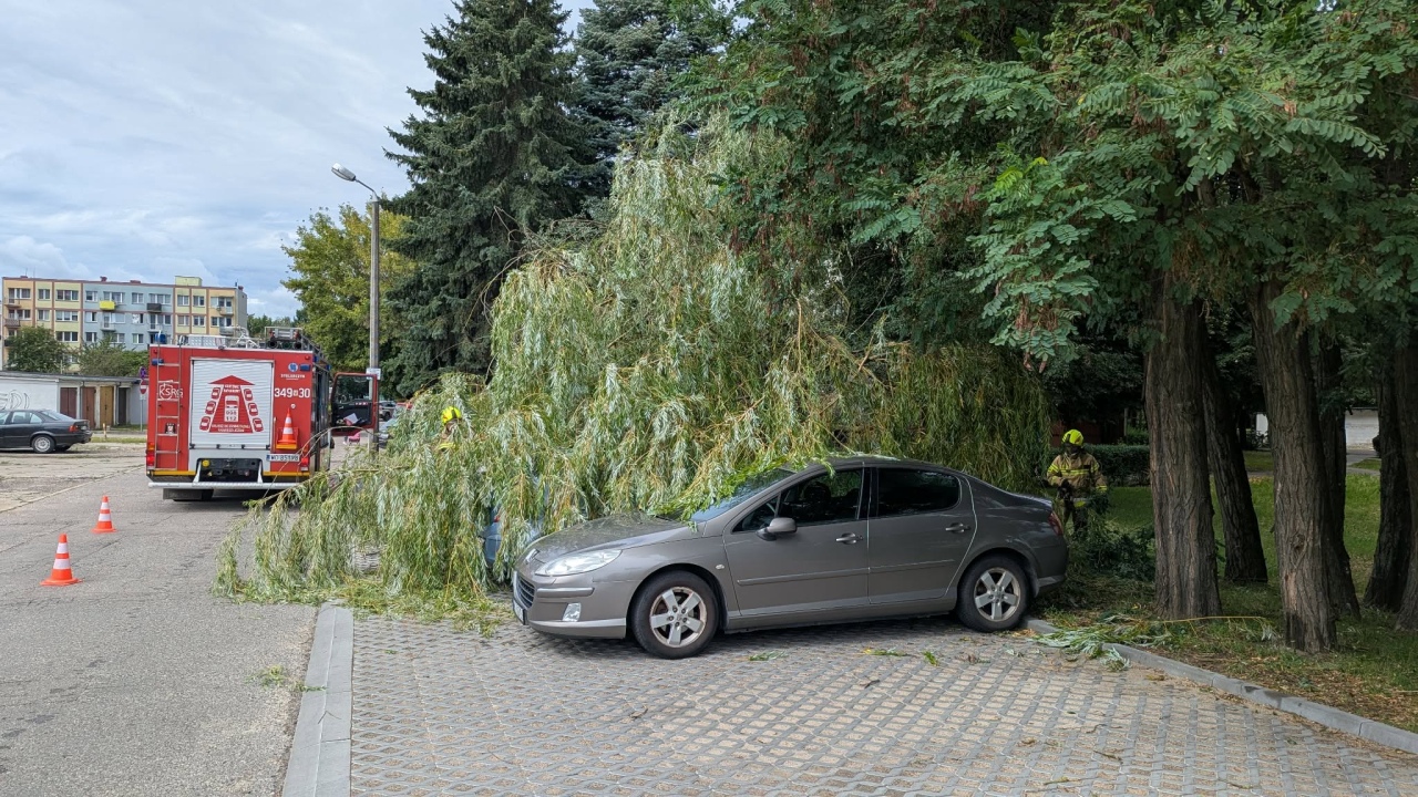 Drzewo spadło na samochody na Dzieci Polskich [22.08.2026] - zdjęcie #1 - eOstroleka.pl