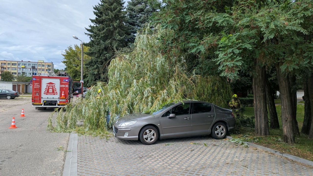 Drzewo spadło na samochody na Dzieci Polskich [22.08.2026] - zdjęcie #10 - eOstroleka.pl