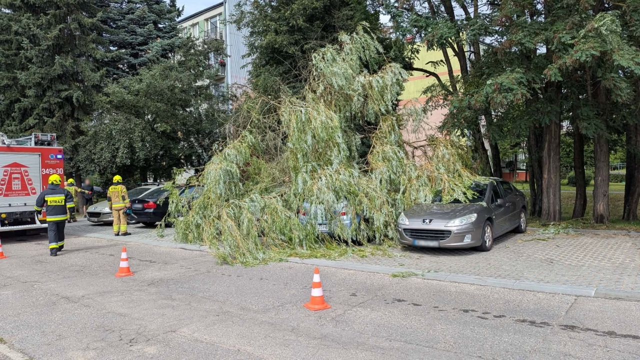 Drzewo spadło na samochody na Dzieci Polskich [22.08.2026] - zdjęcie #11 - eOstroleka.pl