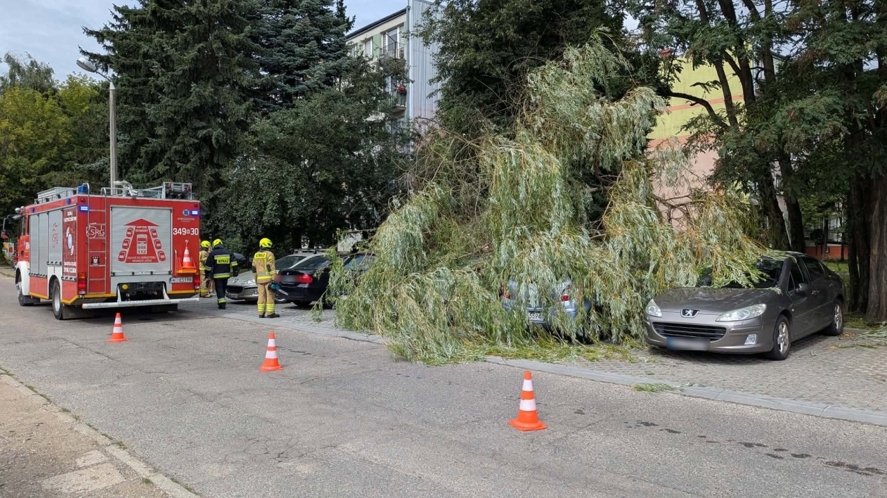 Drzewo spadło na samochody na Dzieci Polskich [22.08.2026] - zdjęcie #15 - eOstroleka.pl
