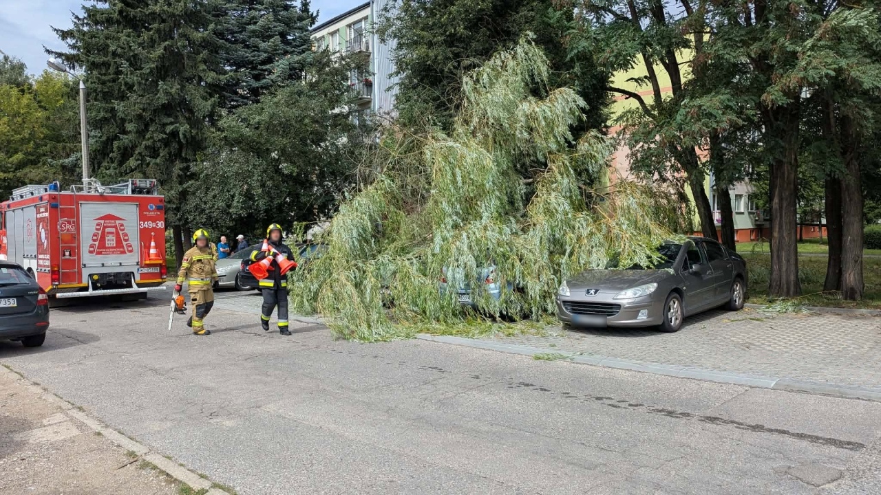 Drzewo spadło na samochody na Dzieci Polskich [22.08.2026] - zdjęcie #16 - eOstroleka.pl