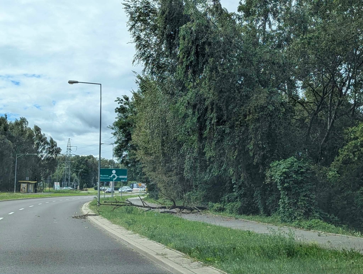 Skutki nawałnicy w Ostrołęce i powiecie ostrołęckim [23.08.2026] - zdjęcie #49 - eOstroleka.pl