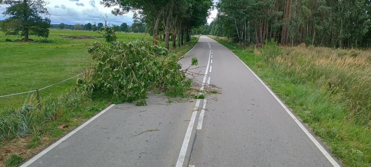 Skutki nawałnicy w Ostrołęce i powiecie ostrołęckim [23.08.2026] - zdjęcie #42 - eOstroleka.pl