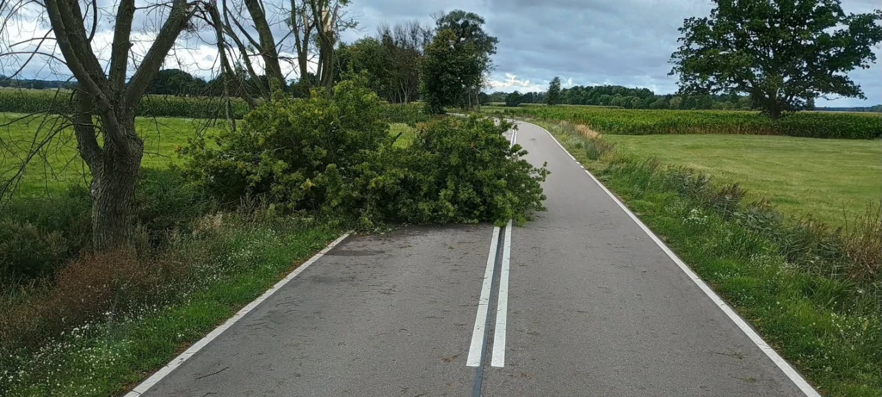 Skutki nawałnicy w Ostrołęce i powiecie ostrołęckim [23.08.2026] - zdjęcie #32 - eOstroleka.pl
