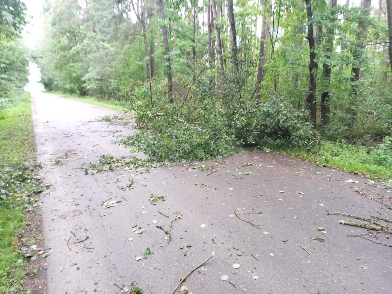 Skutki nawałnicy w Ostrołęce i powiecie ostrołęckim [23.08.2026] - zdjęcie #29 - eOstroleka.pl
