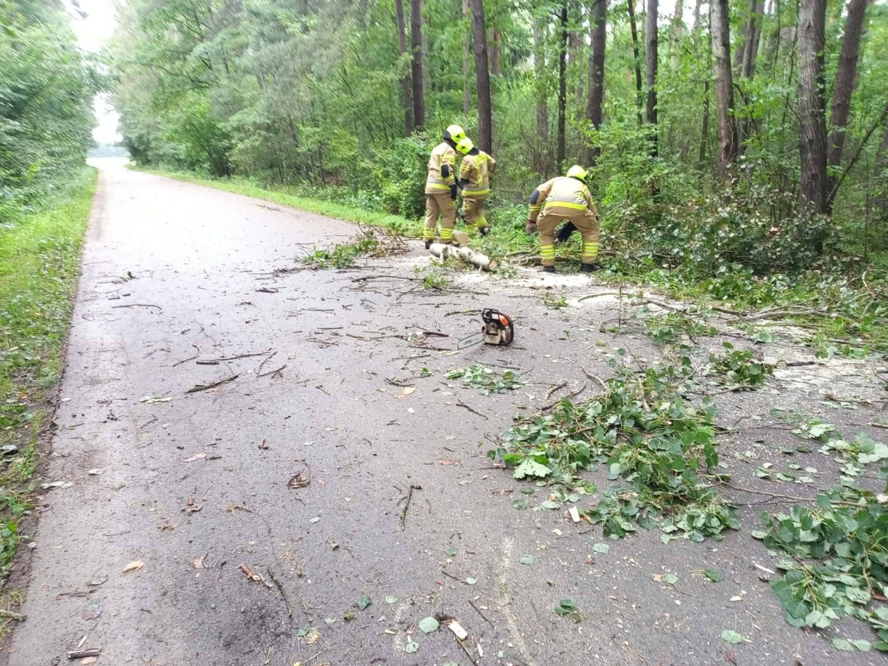 Skutki nawałnicy w Ostrołęce i powiecie ostrołęckim [23.08.2026] - zdjęcie #28 - eOstroleka.pl