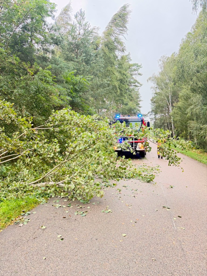 Skutki nawałnicy w Ostrołęce i powiecie ostrołęckim [23.08.2026] - zdjęcie #22 - eOstroleka.pl