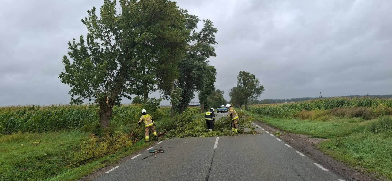 Skutki nawałnicy w Ostrołęce i powiecie ostrołęckim [23.08.2026] - zdjęcie #19 - eOstroleka.pl
