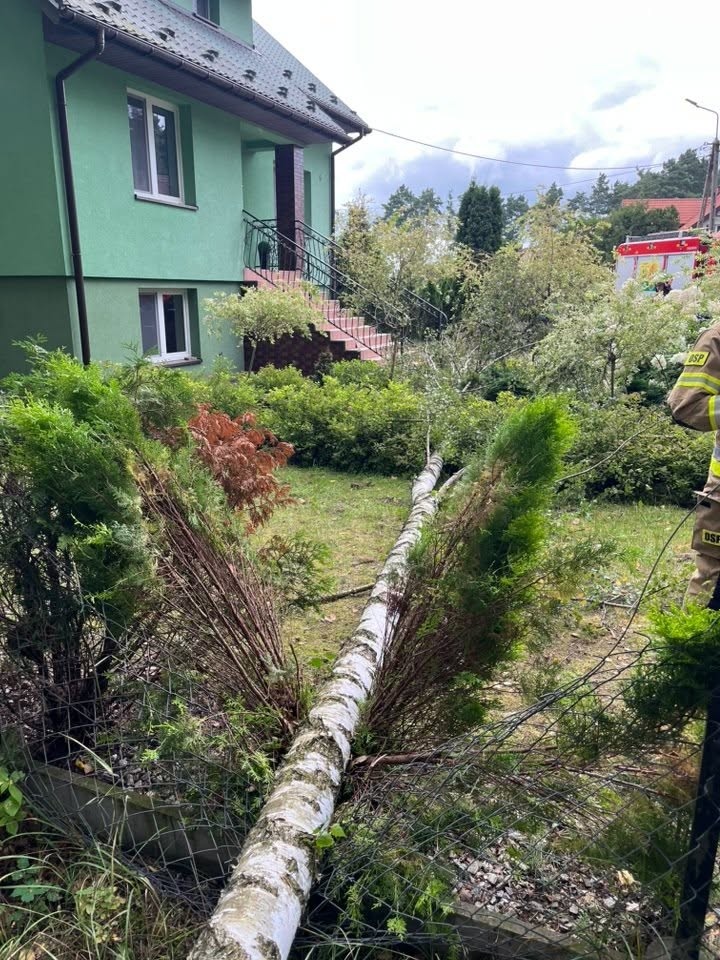 Skutki nawałnicy w Ostrołęce i powiecie ostrołęckim [23.08.2026] - zdjęcie #17 - eOstroleka.pl