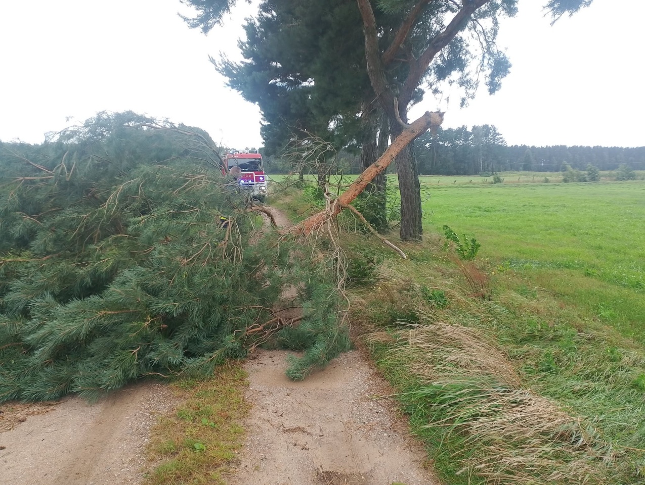Skutki nawałnicy w Ostrołęce i powiecie ostrołęckim [23.08.2026] - zdjęcie #16 - eOstroleka.pl