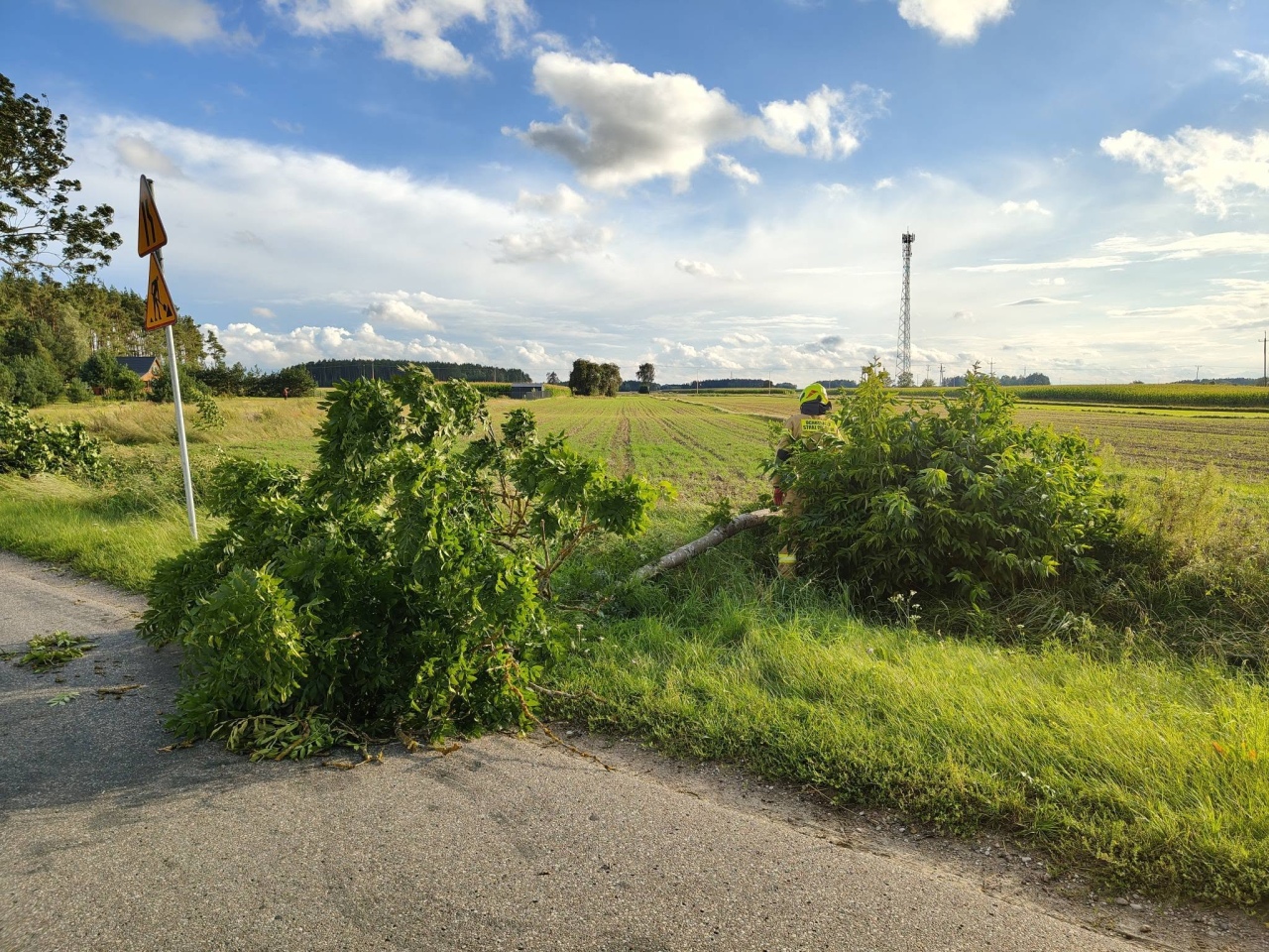 Skutki nawałnicy w Ostrołęce i powiecie ostrołęckim [23.08.2026] - zdjęcie #14 - eOstroleka.pl