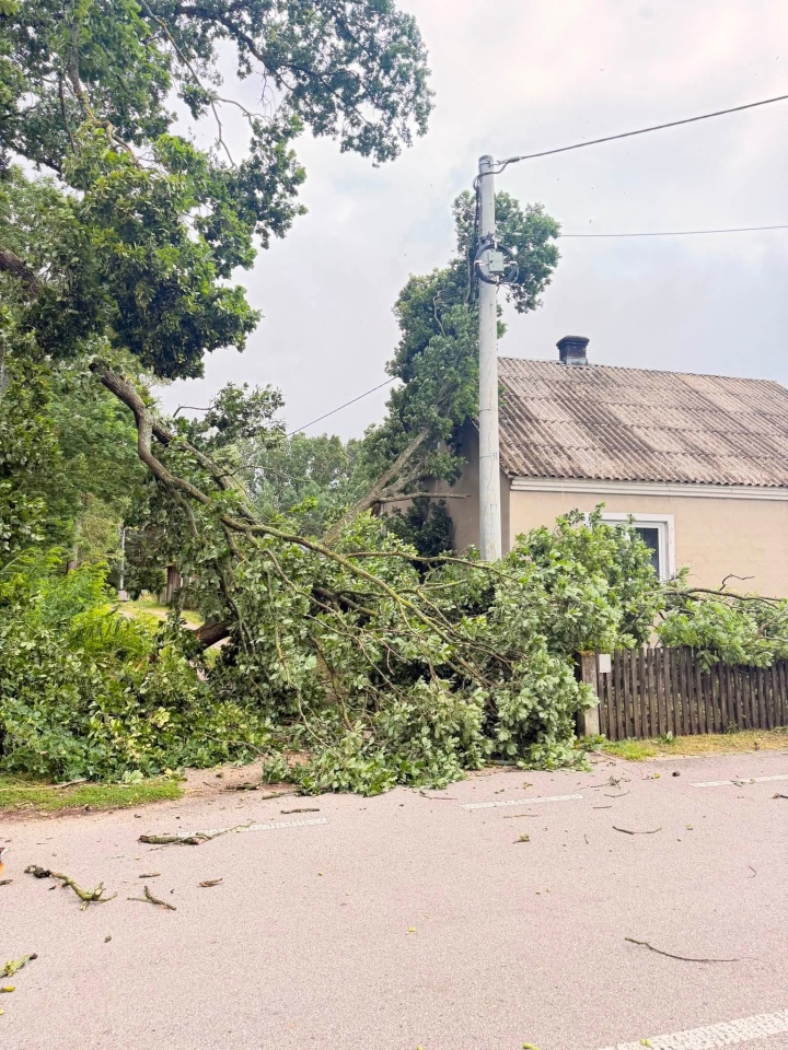 Skutki nawałnicy w Ostrołęce i powiecie ostrołęckim [23.08.2026] - zdjęcie #12 - eOstroleka.pl