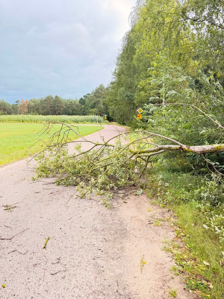 Skutki nawałnicy w Ostrołęce i powiecie ostrołęckim [23.08.2026] - zdjęcie #11 - eOstroleka.pl
