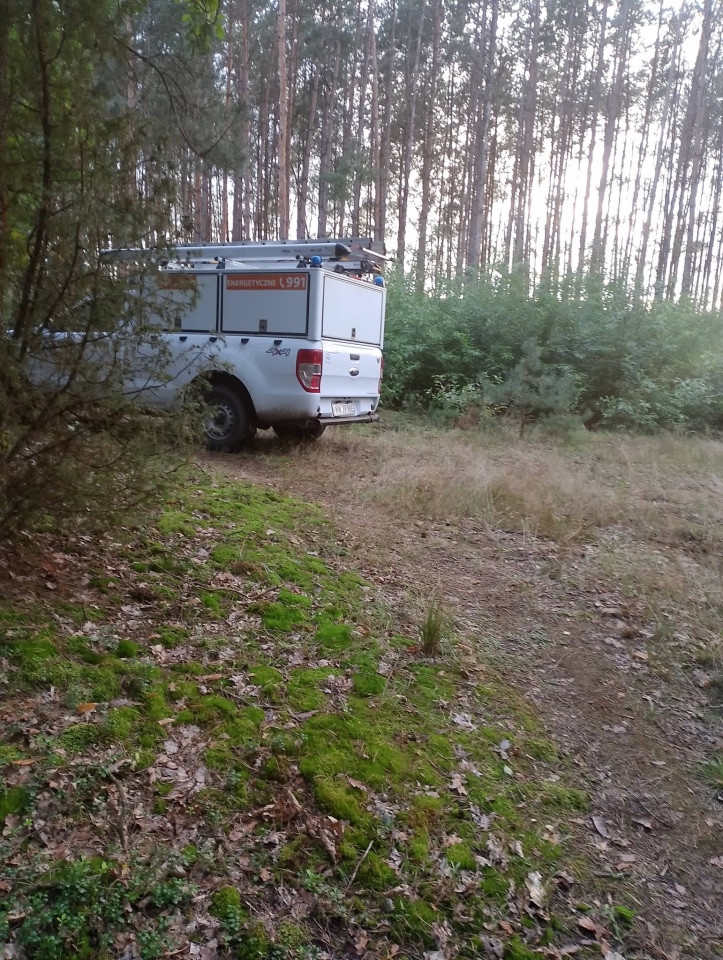Skutki nawałnicy w Ostrołęce i powiecie ostrołęckim [23.08.2026] - zdjęcie #10 - eOstroleka.pl