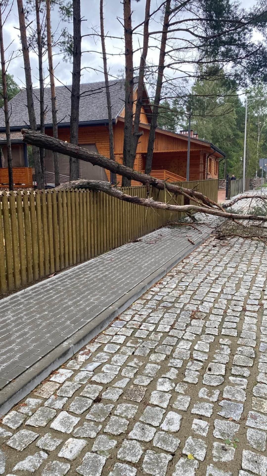 Skutki nawałnicy w Ostrołęce i powiecie ostrołęckim [23.08.2026] - zdjęcie #8 - eOstroleka.pl
