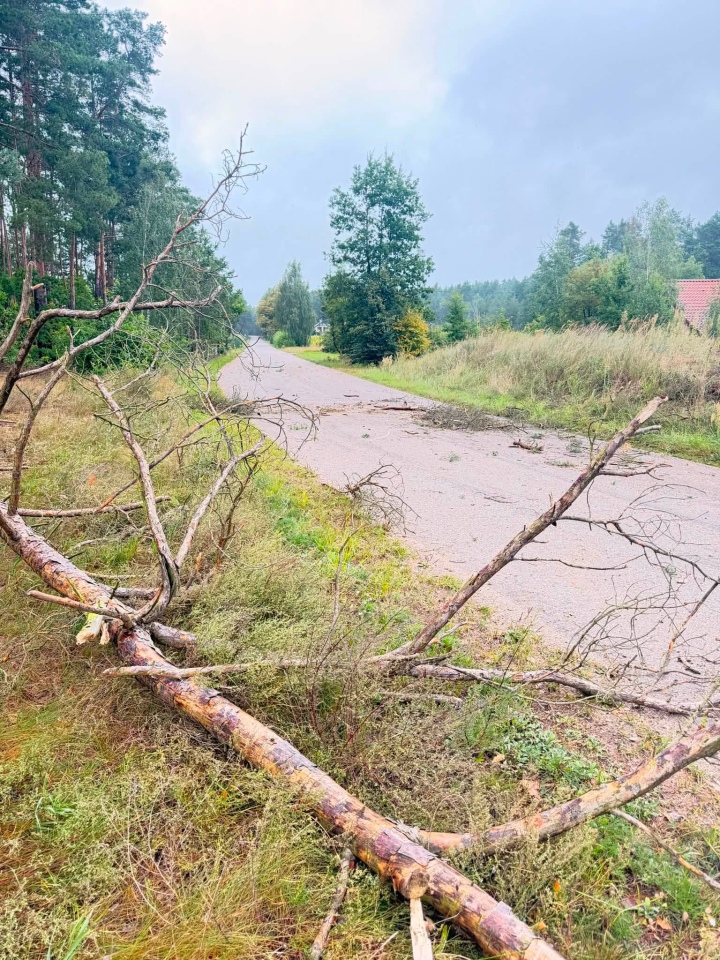 Skutki nawałnicy w Ostrołęce i powiecie ostrołęckim [23.08.2026] - zdjęcie #6 - eOstroleka.pl