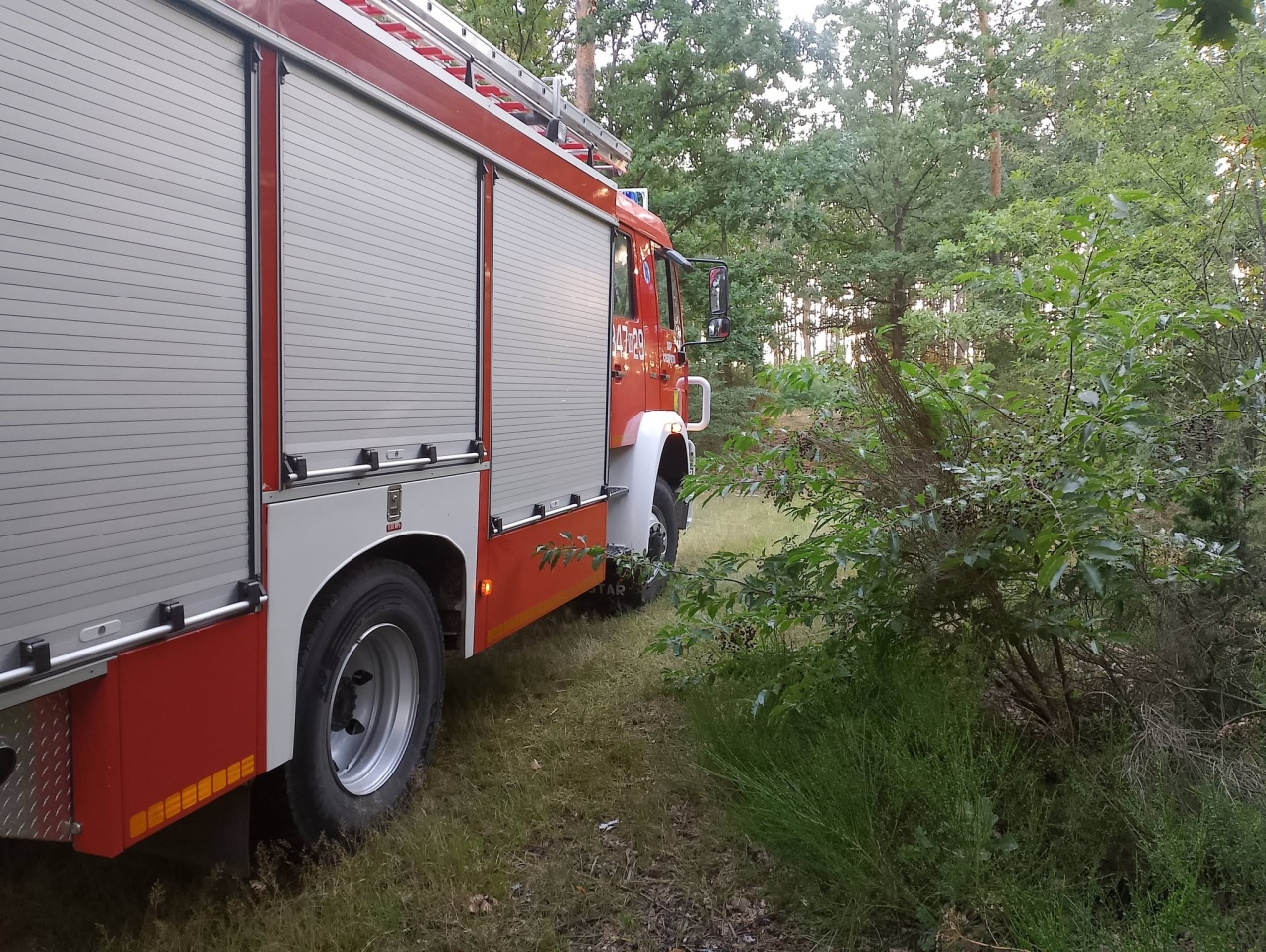 Skutki nawałnicy w Ostrołęce i powiecie ostrołęckim [23.08.2026] - zdjęcie #5 - eOstroleka.pl