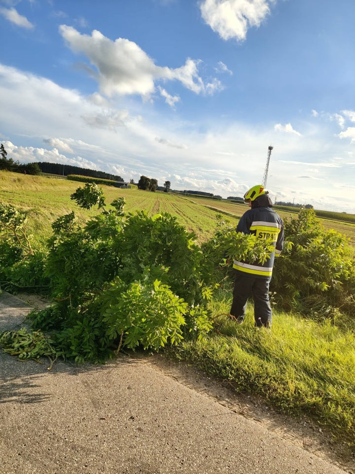 Skutki nawałnicy w Ostrołęce i powiecie ostrołęckim [23.08.2026] - zdjęcie #4 - eOstroleka.pl
