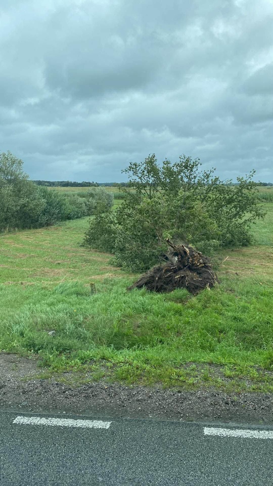 Skutki nawałnicy w Ostrołęce i powiecie ostrołęckim [23.08.2026] - zdjęcie #2 - eOstroleka.pl