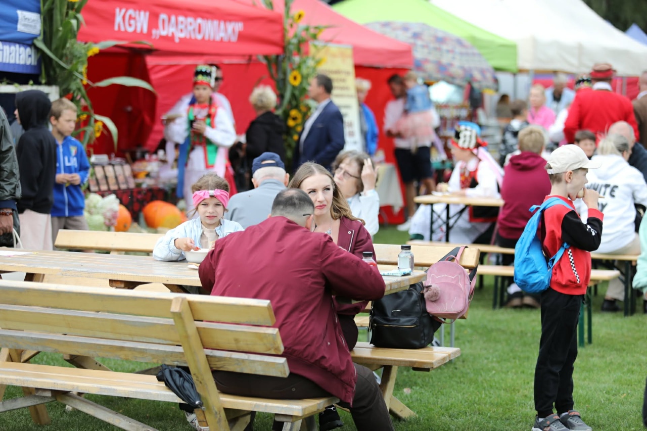 Dożynki w Lelisie [23.08.2026] - zdjęcie #87 - eOstroleka.pl
