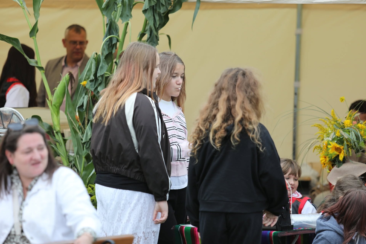 Dożynki w Lelisie [23.08.2026] - zdjęcie #12 - eOstroleka.pl