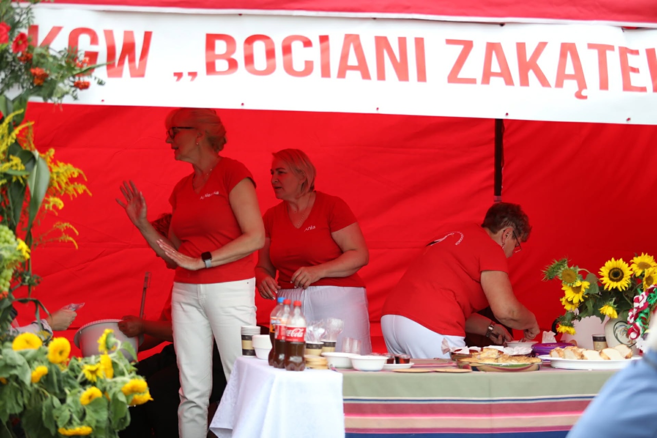 Dożynki w Lelisie [23.08.2026] - zdjęcie #7 - eOstroleka.pl