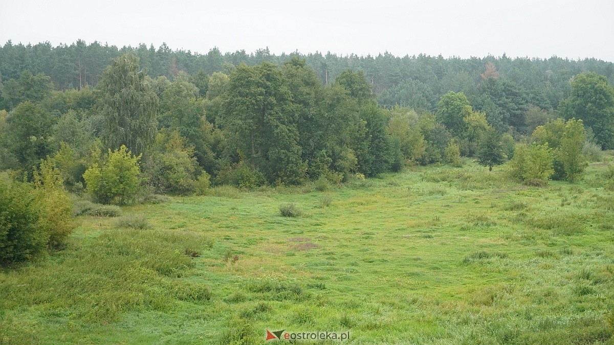 Konferencja prasowa na budowie nowego mostu przez Narew [25.08.2026] - zdjęcie #30 - eOstroleka.pl