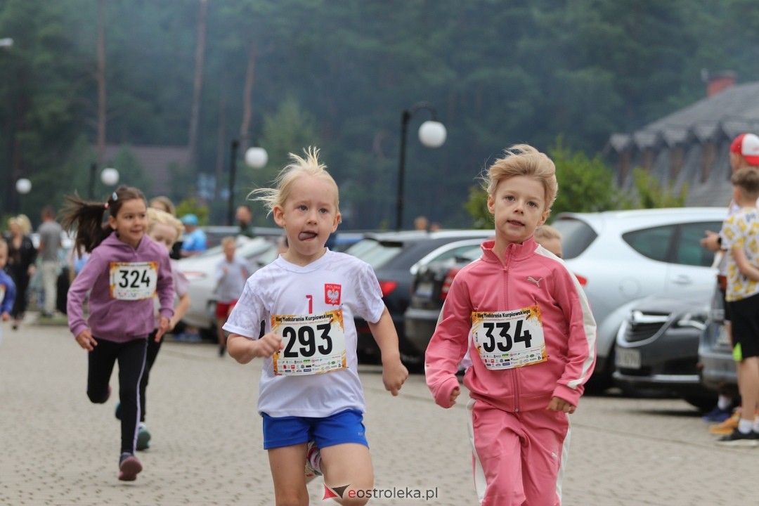 Bieg Miodobrania Kurpiowskiego 2026 [29.08.2026] - zdjęcie #282 - eOstroleka.pl