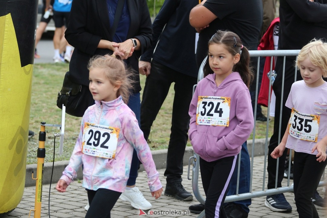 Bieg Miodobrania Kurpiowskiego 2026 [29.08.2026] - zdjęcie #268 - eOstroleka.pl