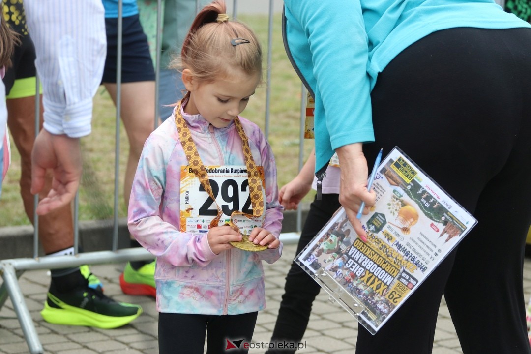 Bieg Miodobrania Kurpiowskiego 2026 [29.08.2026] - zdjęcie #265 - eOstroleka.pl
