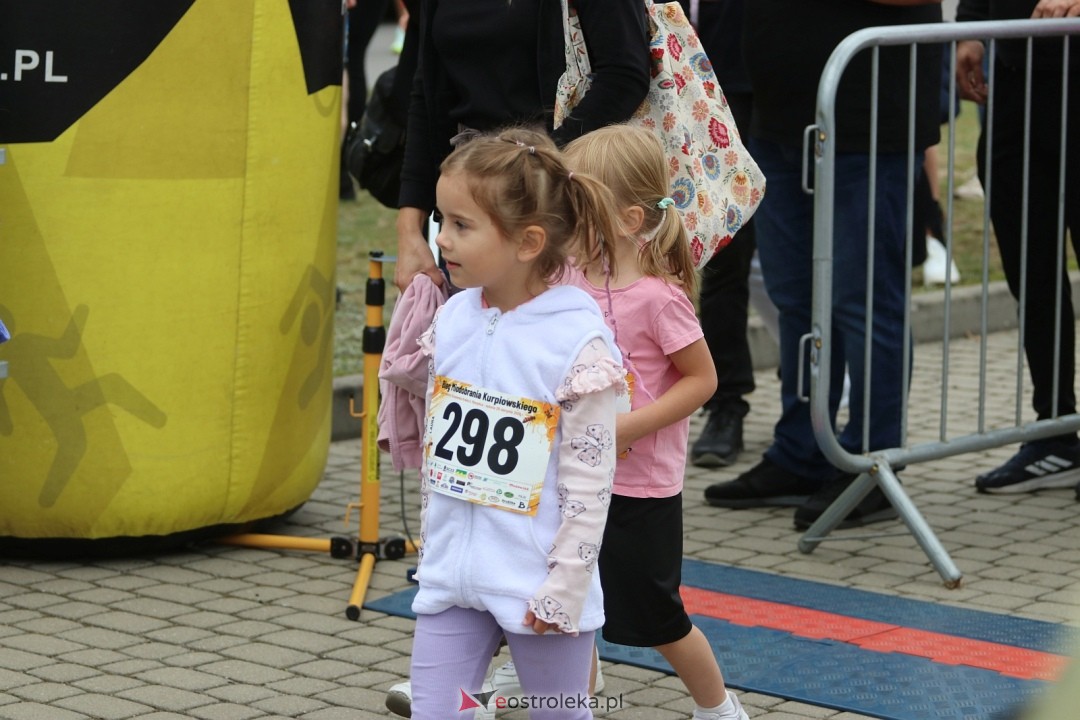 Bieg Miodobrania Kurpiowskiego 2026 [29.08.2026] - zdjęcie #261 - eOstroleka.pl