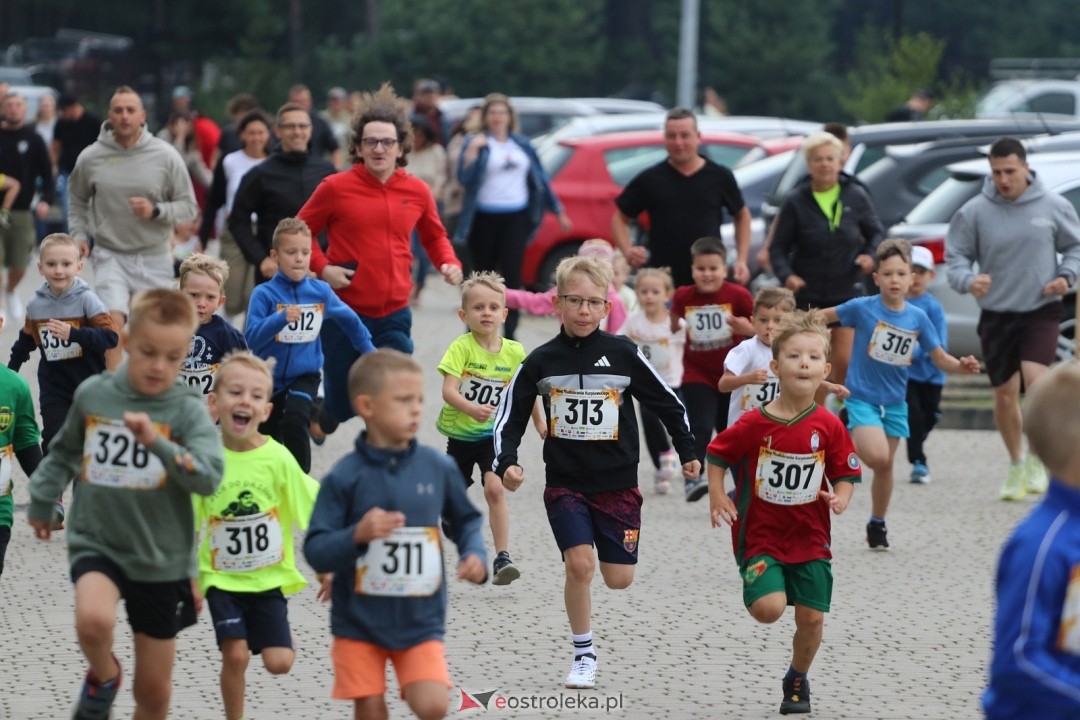 Bieg Miodobrania Kurpiowskiego 2026 [29.08.2026] - zdjęcie #233 - eOstroleka.pl