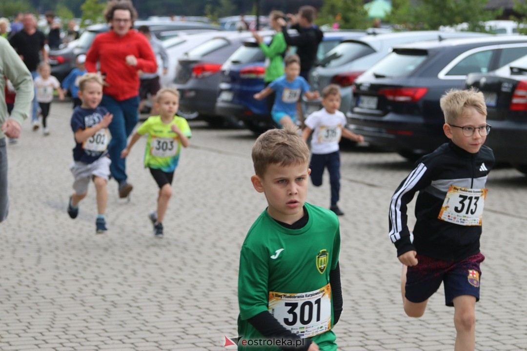 Bieg Miodobrania Kurpiowskiego 2026 [29.08.2026] - zdjęcie #258 - eOstroleka.pl