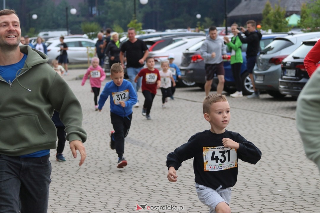 Bieg Miodobrania Kurpiowskiego 2026 [29.08.2026] - zdjęcie #254 - eOstroleka.pl
