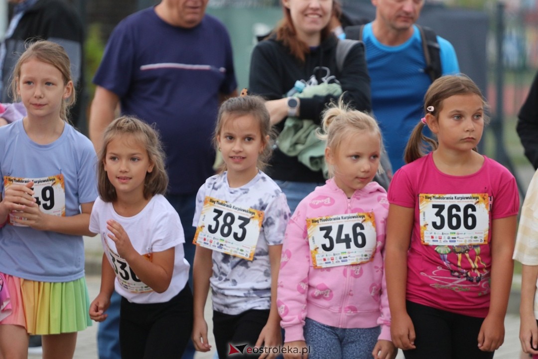 Bieg Miodobrania Kurpiowskiego 2026 [29.08.2026] - zdjęcie #230 - eOstroleka.pl