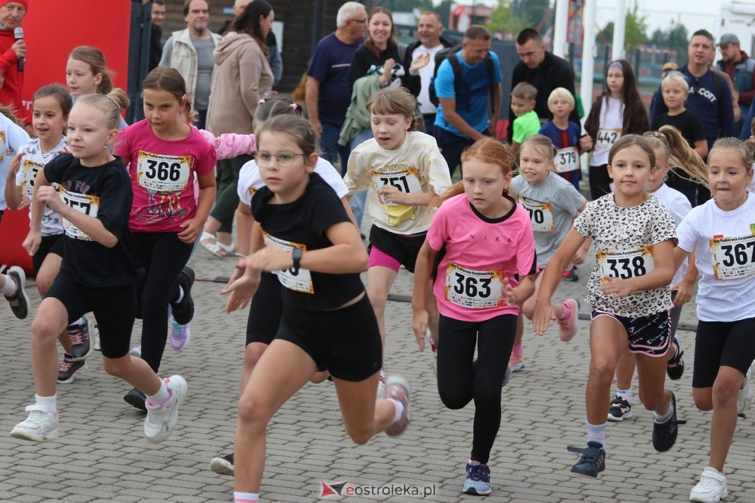 Bieg Miodobrania Kurpiowskiego 2026 [29.08.2026] - zdjęcie #222 - eOstroleka.pl