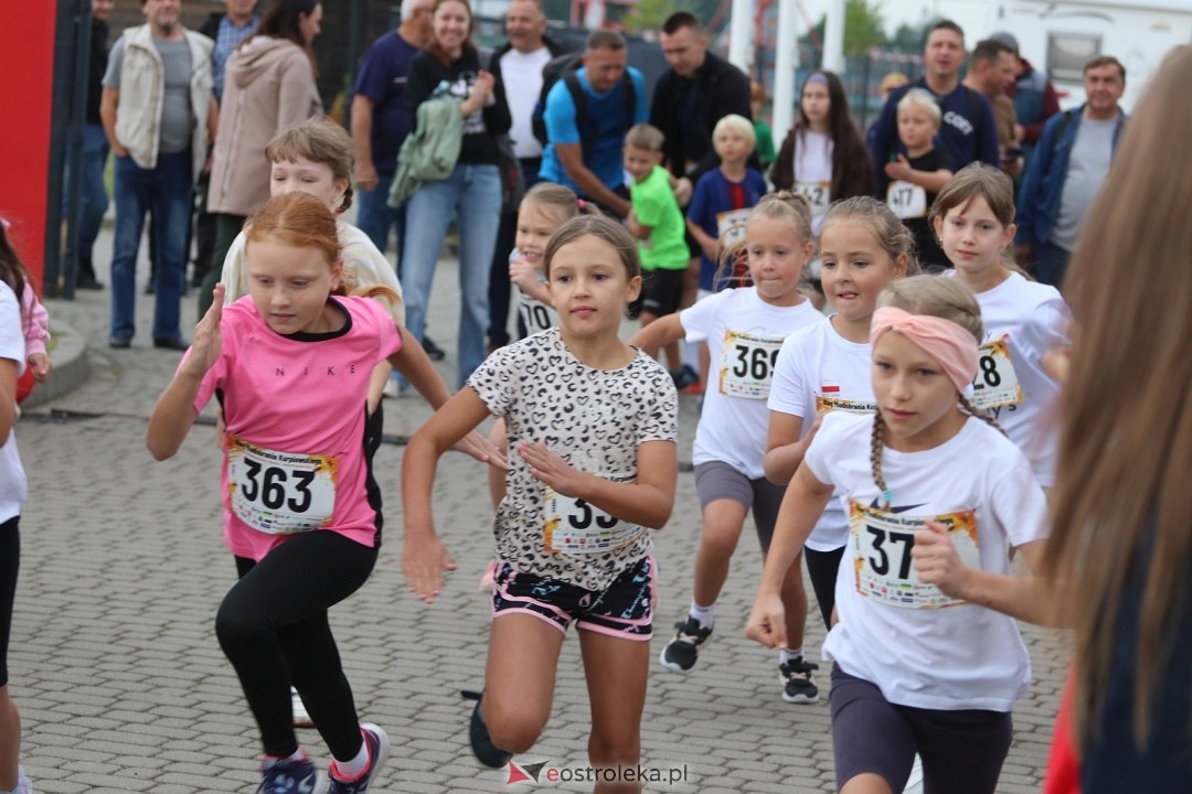 Bieg Miodobrania Kurpiowskiego 2026 [29.08.2026] - zdjęcie #221 - eOstroleka.pl