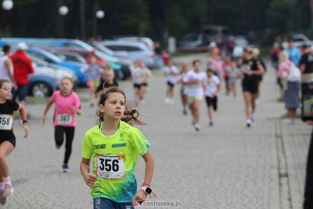 Bieg Miodobrania Kurpiowskiego 2026 [29.08.2026] - zdjęcie #214 - eOstroleka.pl