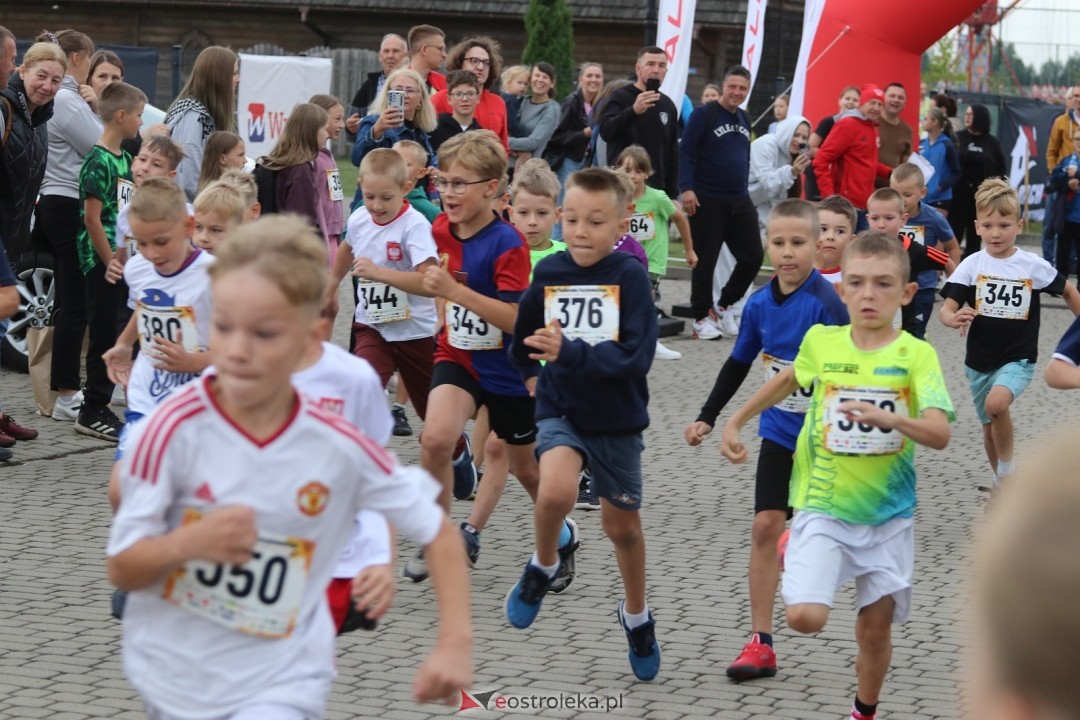 Bieg Miodobrania Kurpiowskiego 2026 [29.08.2026] - zdjęcie #206 - eOstroleka.pl