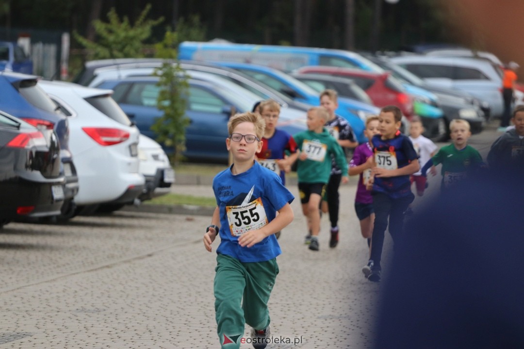 Bieg Miodobrania Kurpiowskiego 2026 [29.08.2026] - zdjęcie #180 - eOstroleka.pl