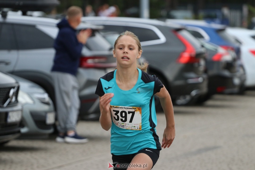 Bieg Miodobrania Kurpiowskiego 2026 [29.08.2026] - zdjęcie #201 - eOstroleka.pl