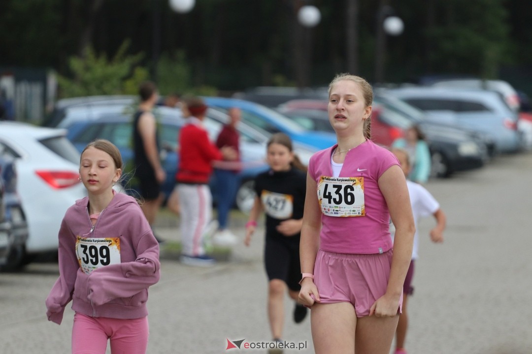 Bieg Miodobrania Kurpiowskiego 2026 [29.08.2026] - zdjęcie #185 - eOstroleka.pl