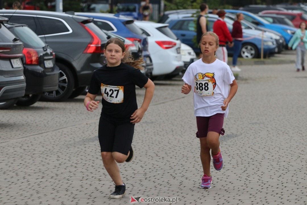 Bieg Miodobrania Kurpiowskiego 2026 [29.08.2026] - zdjęcie #183 - eOstroleka.pl