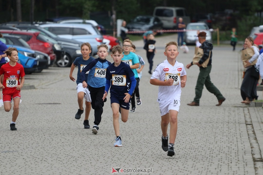 Bieg Miodobrania Kurpiowskiego 2026 [29.08.2026] - zdjęcie #136 - eOstroleka.pl