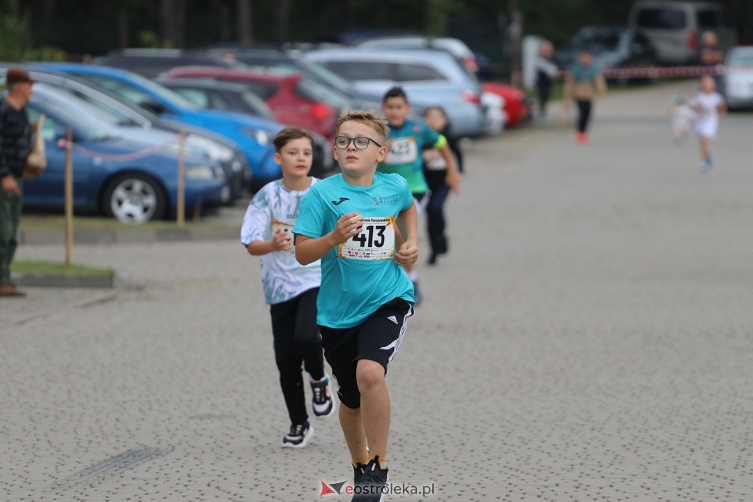 Bieg Miodobrania Kurpiowskiego 2026 [29.08.2026] - zdjęcie #132 - eOstroleka.pl