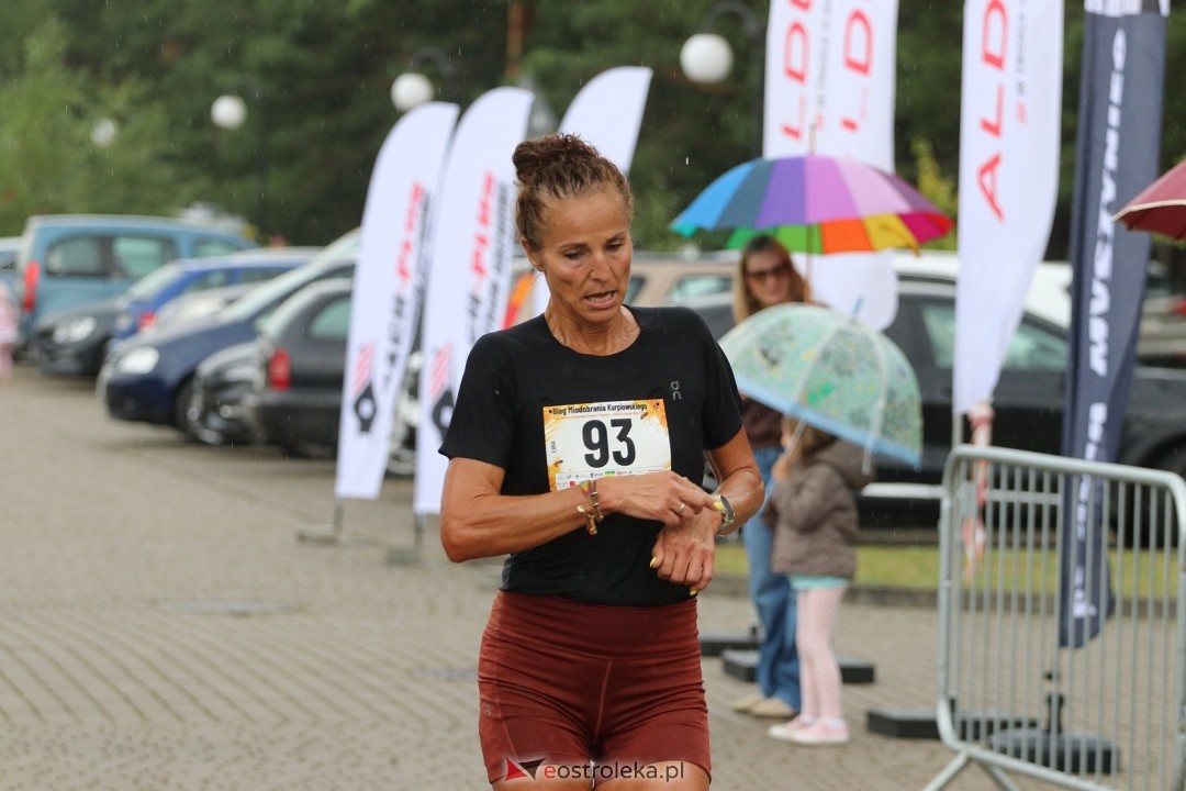 Bieg Miodobrania Kurpiowskiego 2026 [29.08.2026] - zdjęcie #24 - eOstroleka.pl