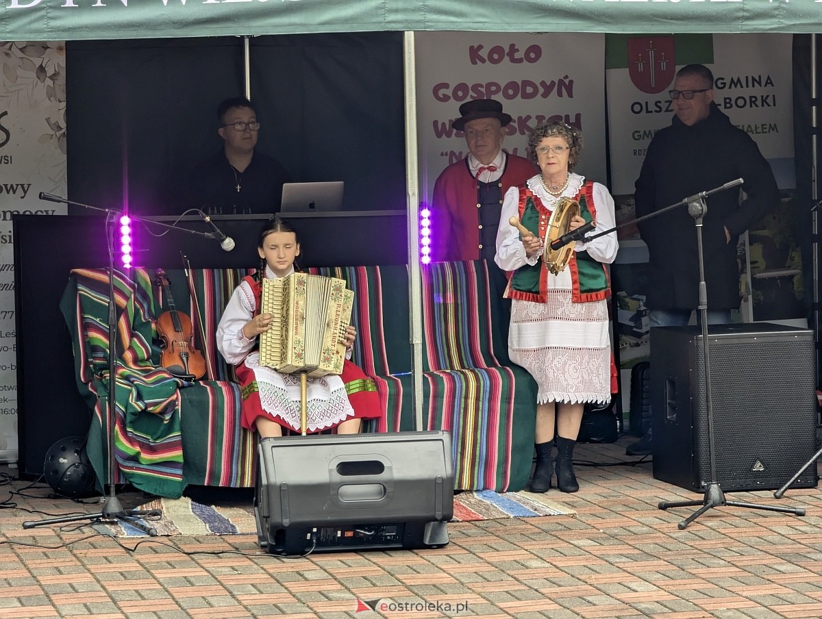 Pożegnanie lata z KGW Nowalijki [29.08.2026] - zdjęcie #6 - eOstroleka.pl