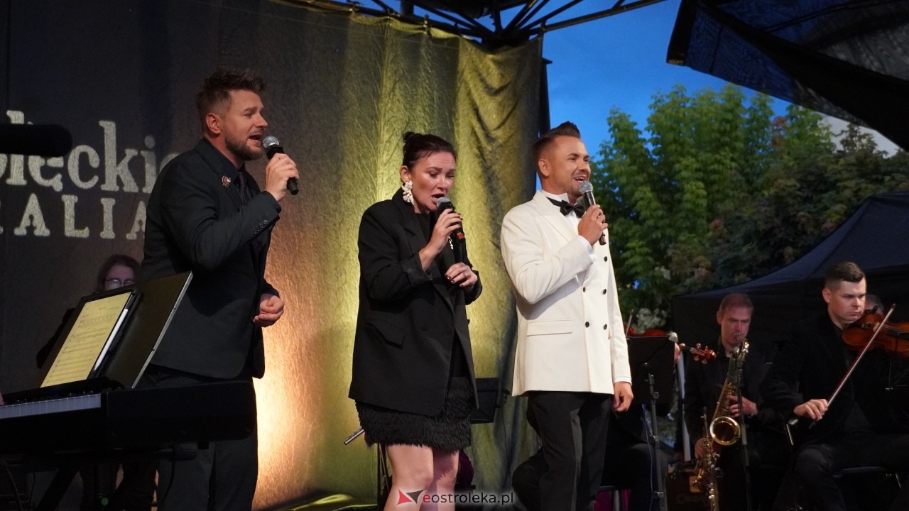 XI Festiwal Muzyczny Ostrołęckie Operalia - „Parostatkiem piękny rejs... [29.08.2026] - zdjęcie #47 - eOstroleka.pl