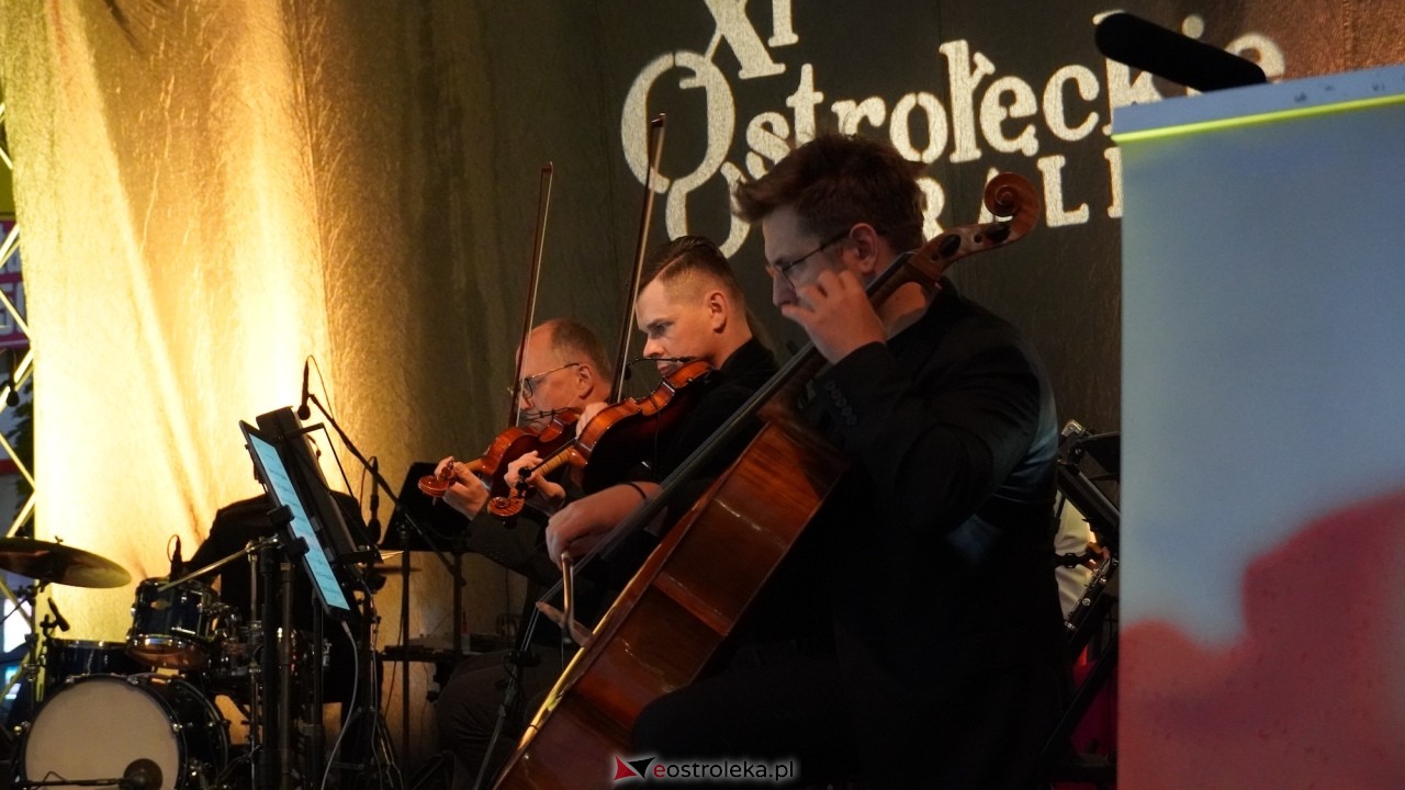 XI Festiwal Muzyczny Ostrołęckie Operalia - „Parostatkiem piękny rejs... [29.08.2026] - zdjęcie #8 - eOstroleka.pl