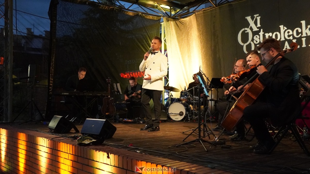 XI Festiwal Muzyczny Ostrołęckie Operalia - „Parostatkiem piękny rejs... [29.08.2026] - zdjęcie #6 - eOstroleka.pl